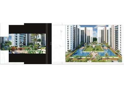 DMD Spring Valley Brochure 14