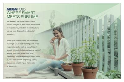 Pegasus Megapolis Serenity A8 To A12 B2 And Conv Shop B Brochure 5