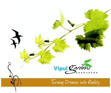Vipul Gardens Brochure 1