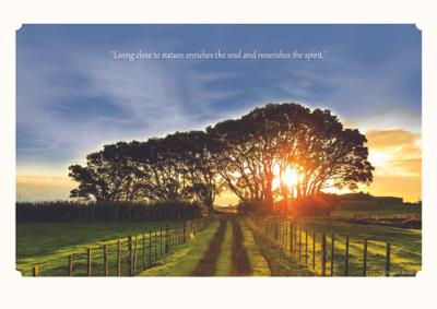 Image of 131 Sq.ft Residential Plot / Land for sale in Spiti Heritage Homes, Pataudi, Gurgaon for Rs. 14410000