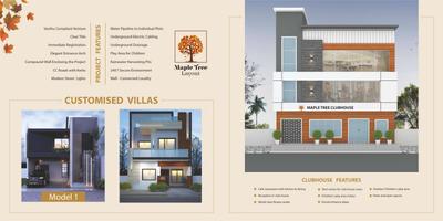 Maple Tree Brochure 2