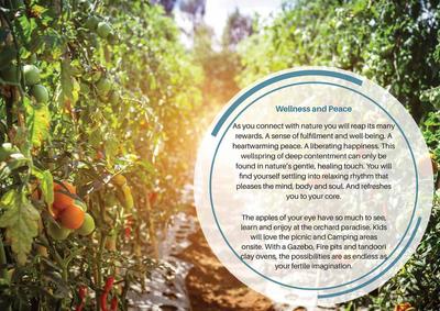Pushpam Lush County Brochure 9