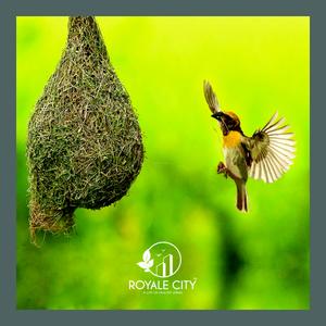 Image of 625 Sq.ft 1 BHK Apartment / Flat for sale in Royale Tulip N, Asangaon, Thane for Rs. 2200000