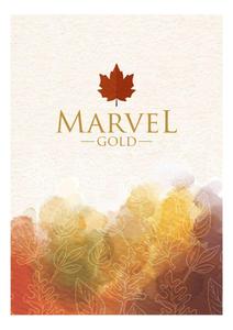 Town Swaroop Marvel Gold Brochure 1