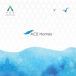 Ace Homes Brochure 1