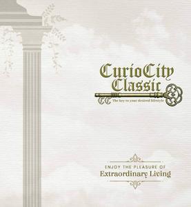 Realtech Curiocity Classic Brochure 1