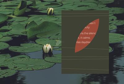 DTC Still Waters Brochure 10