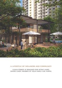 Alembic Cloud Forest Brochure 8