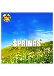 Fortune Springs Brochure 2