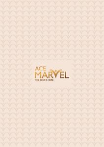 Ace Marvel Brochure 1
