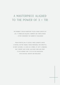Experion The Trillion Brochure 12