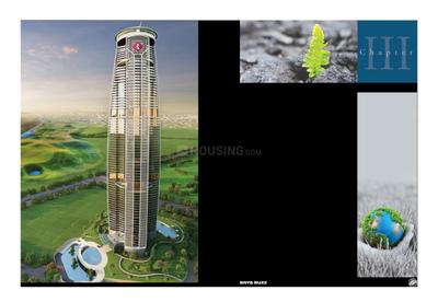 Brys Buzz Brochure 13