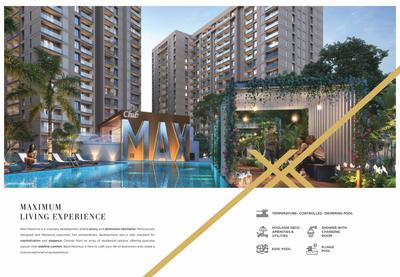 Basil Maximus Brochure 4