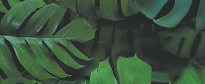 Omaxe Gardenia Floors Brochure 25