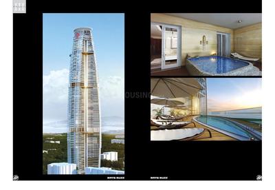 Brys Buzz Brochure 15