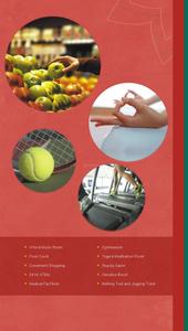 The 3C Lotus Zing Brochure 17