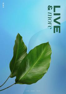 Damac District Brochure 8