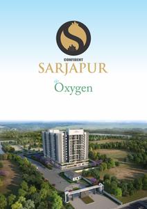 Confident Oxygen Brochure 2