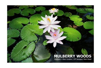 Image of 3255 Sq.ft 4 BHK Apartment / Flat for sale in Saran Mulberry Woods, Carmelaram, Bengaluru for Rs. 38800000