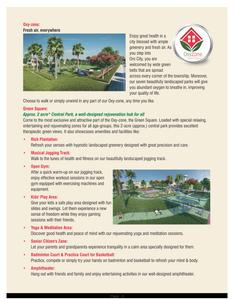 Oro City Brochure 6
