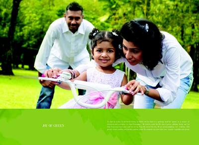 Alps Pleasanton Brochure 11