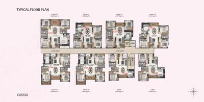 Coevolve Florenza Brochure 19