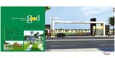 Millennium Pride Brochure 2