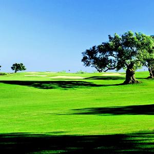 Tulsiani Golf View Apartments Brochure 26