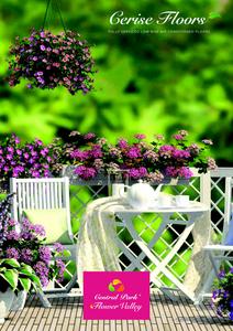 Central Park Cerise Floors Brochure 1