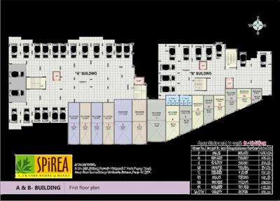 Vinode Spirea Brochure 10