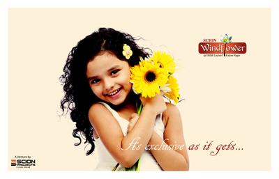 Scion Windflower Brochure 1