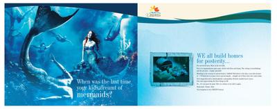 Daffodil Waterfront Brochure 3