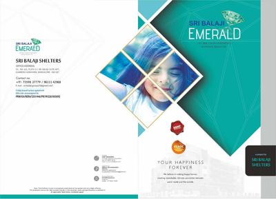Image of 1088 Sq.ft 2 BHK Apartment / Flat for sale in Sri Balaji Emerald, Hennur, Bengaluru for Rs. 8200000