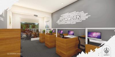 Ask Serinity Brochure 37
