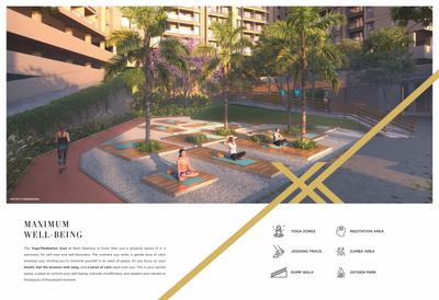 Basil Maximus Brochure 6