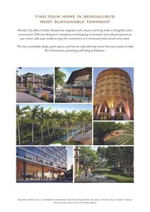 Alembic Cloud Forest Brochure 25