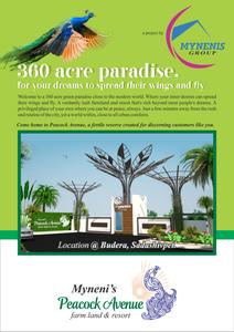 SSL Peacock Avenue Brochure 1