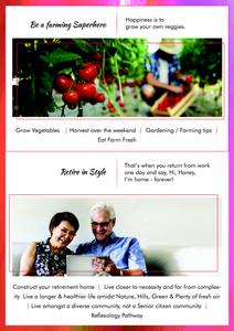 Sohum Saarang Brochure 6