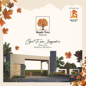 Maple Tree Brochure 1