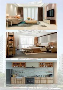 Gami Krishna Iris Brochure 3