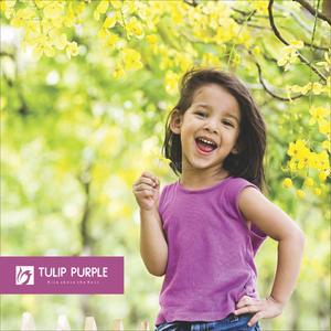 Image of 1036 Sq.ft 2 BHK Apartment / Flat for sale in Tulip Purple, Punawale, Pune for Rs. 7800000