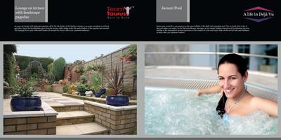 Team Deja Vu Brochure 7
