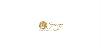 Eisha Synergy Brochure 1