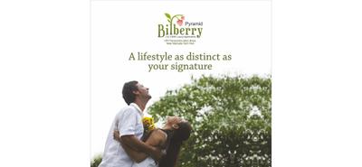 Pyramid Bilberry Brochure 1