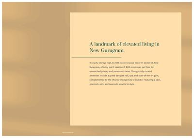 SS One Brochure 3