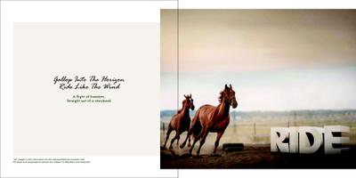 Sylvan Golf & Country Homes Brochure 6