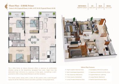 SSC Sakura Blossom Brochure 17
