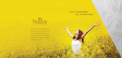 SJ Pinnacle Brochure 2