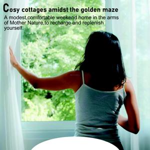 Golden Grass Brochure 12