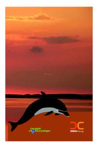 Dollfine DC Durga County Brochure 18